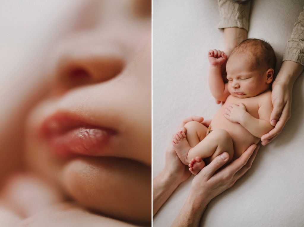 Newborn Photographer Portland Oregon