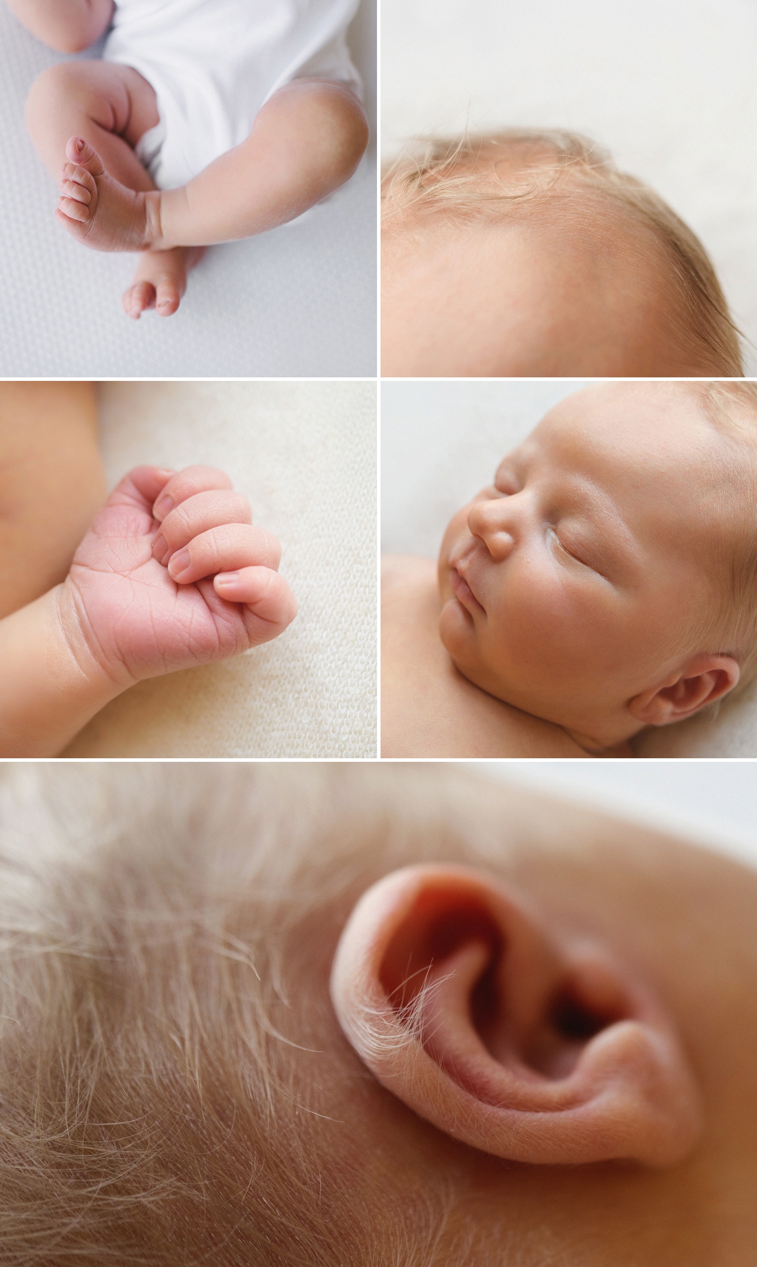 Portland Newborn Photographer, newborn baby details