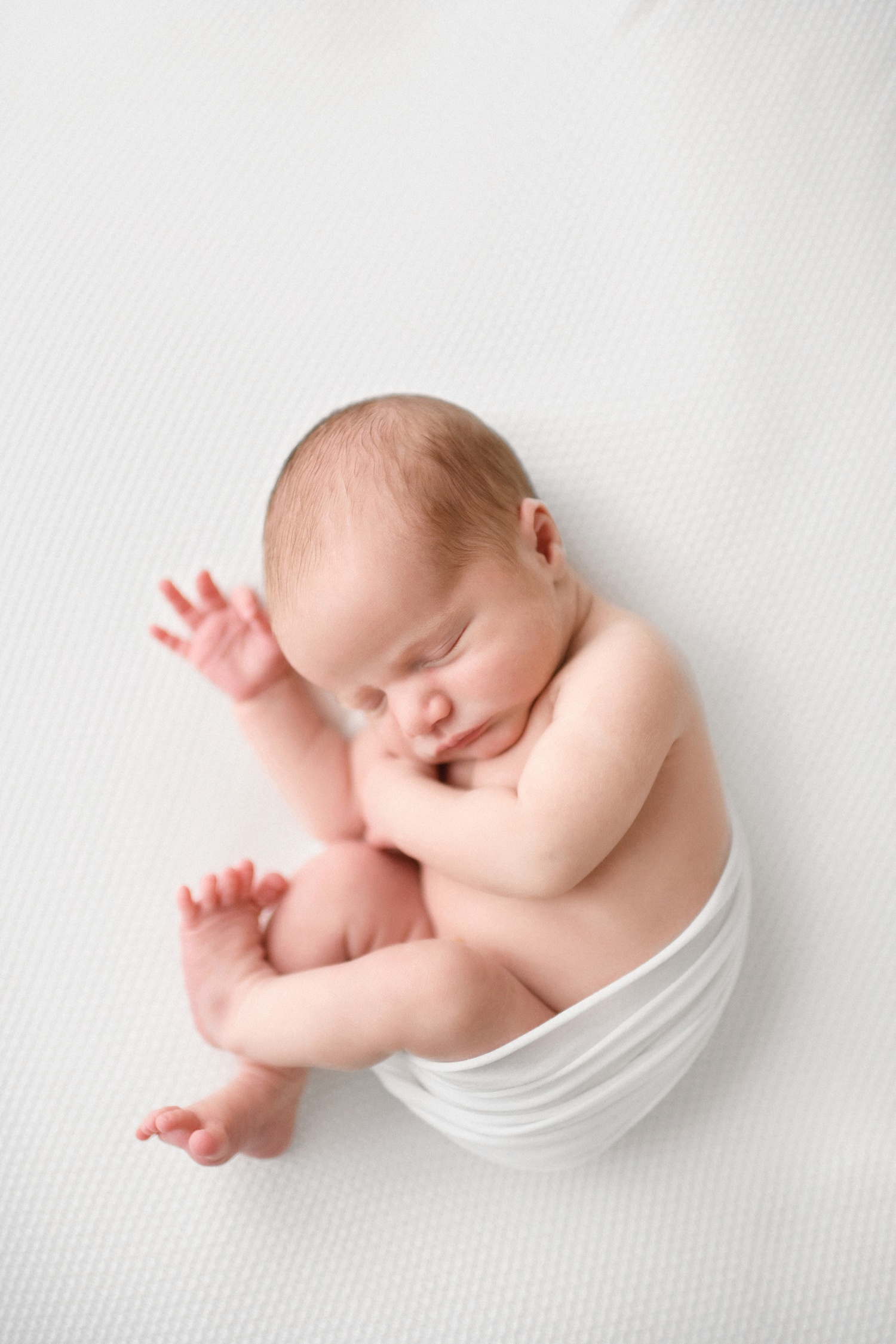 newborn photograph