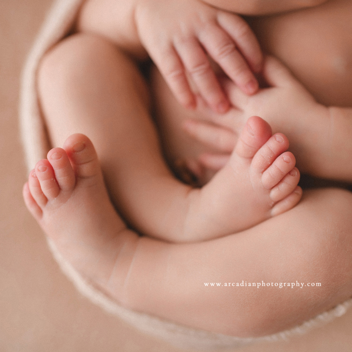 newborn details - toes