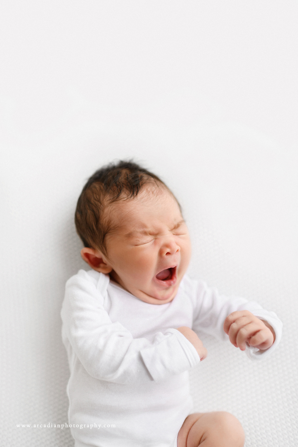 A big newborn yawn! Learn more about booking newborn photos.
