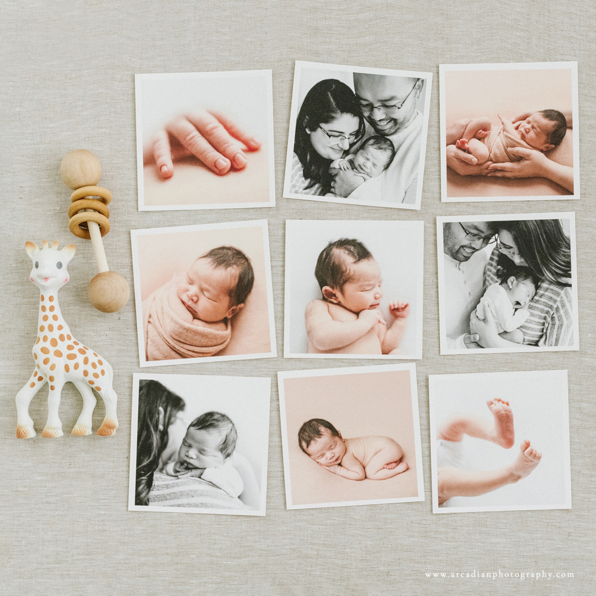 Learn more about booking newborn photos.