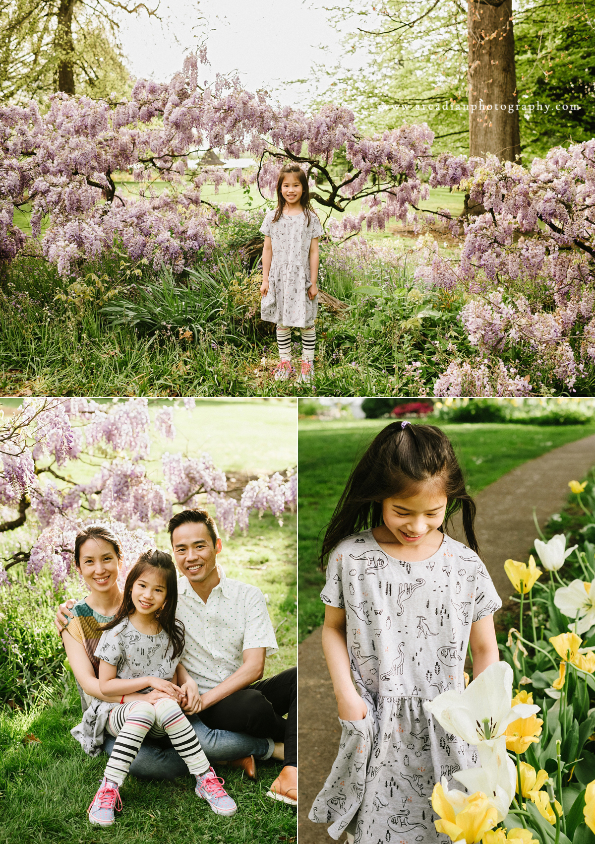 Family photos at the wisteria in Bush Park