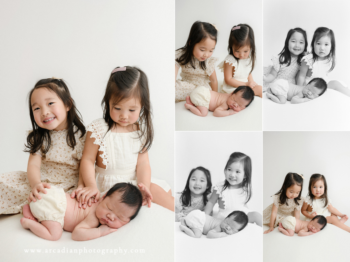 newborn sessions with older siblings - arcadian photography