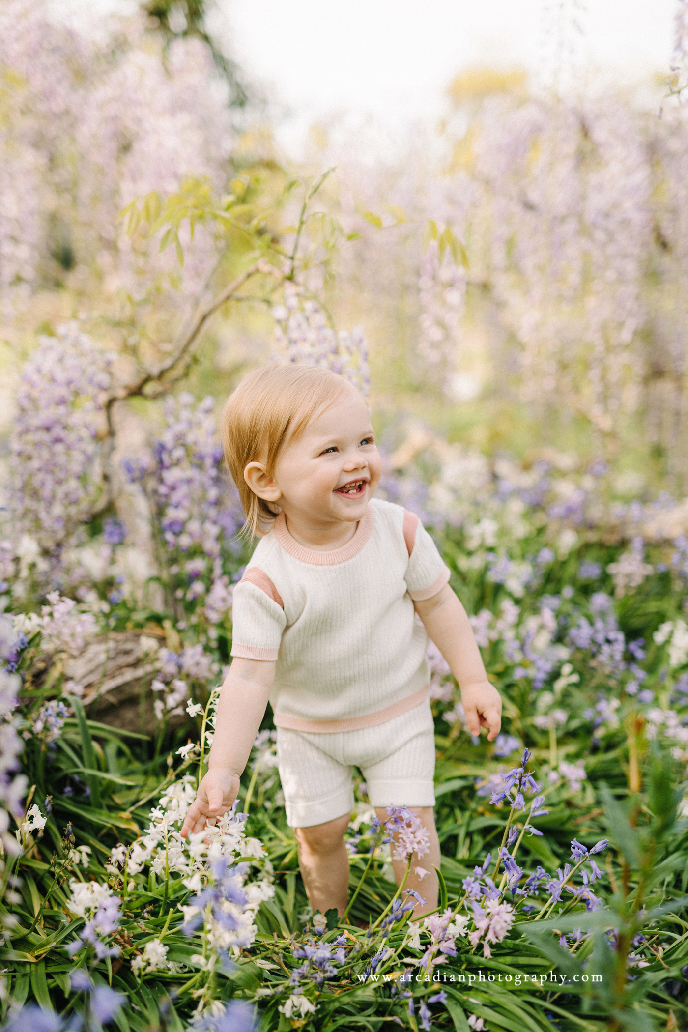 Outdoor spring baby photos at the wisteria in Bush Park