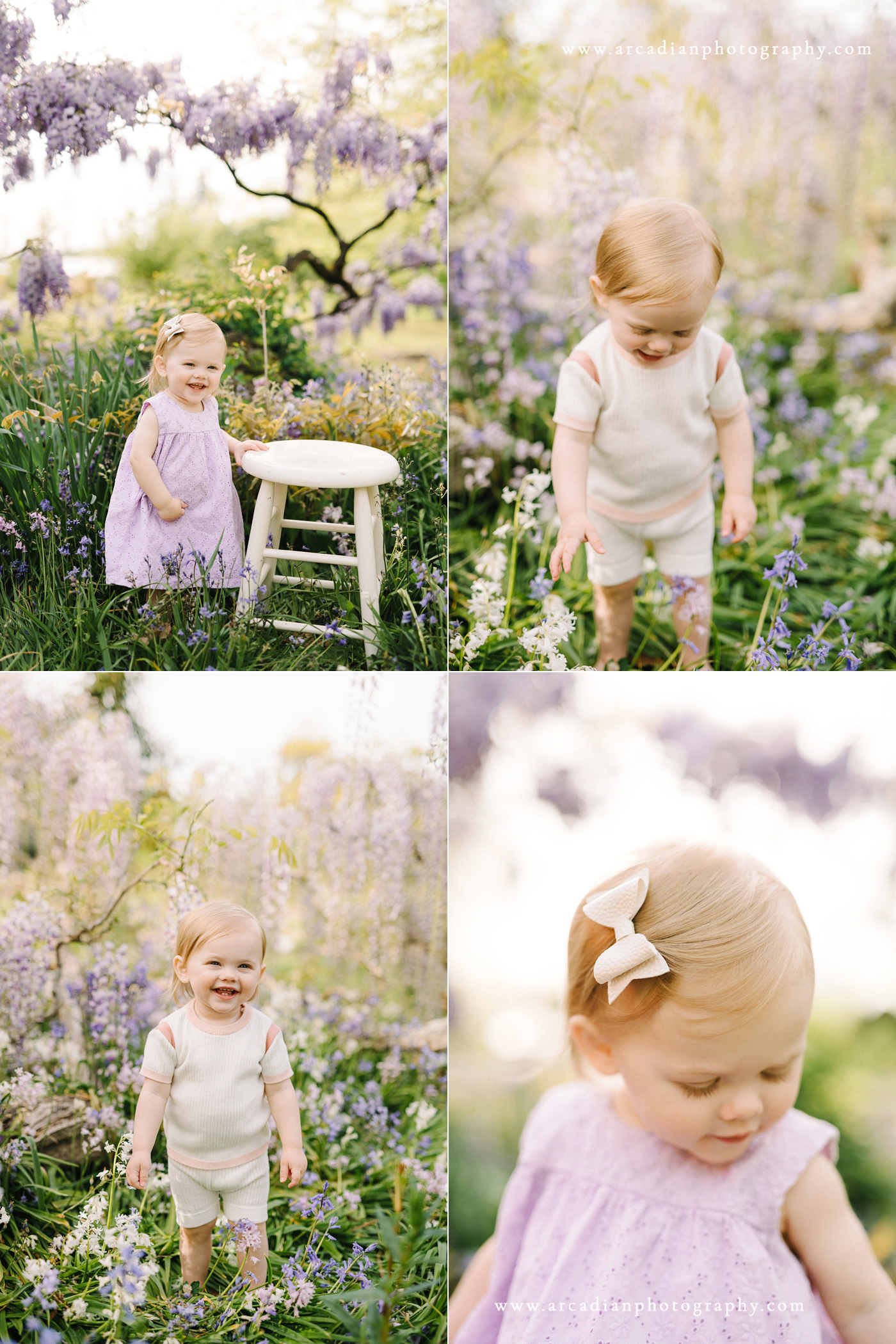 Outdoor spring baby photos at the wisteria in Bush Park
