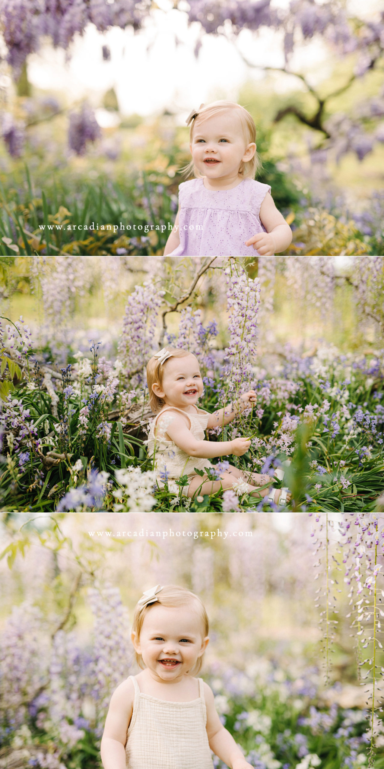Outdoor spring one-year photos at the wisteria in Bush Park