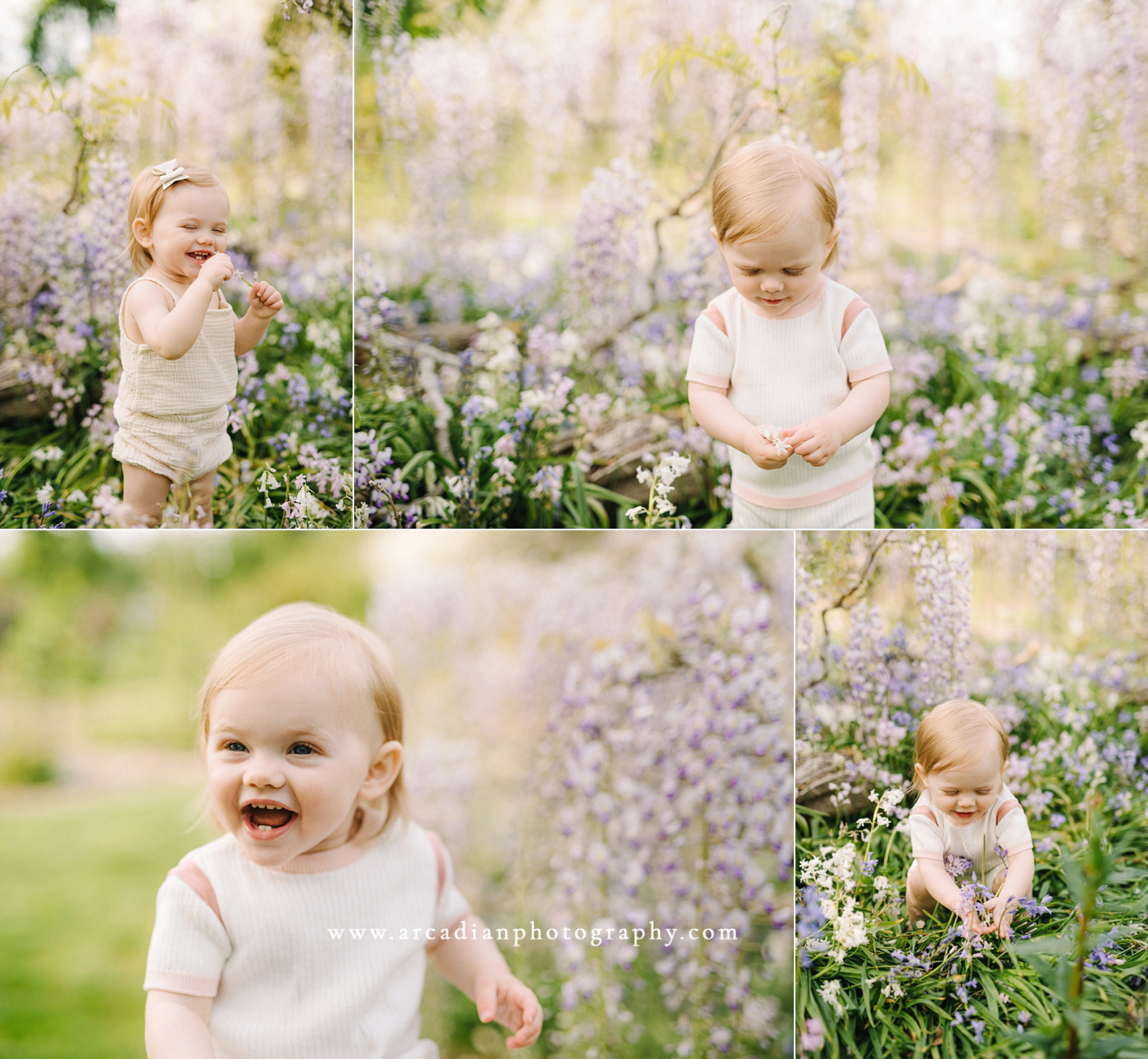 Outdoor spring one-year photos at the wisteria in Bush Park