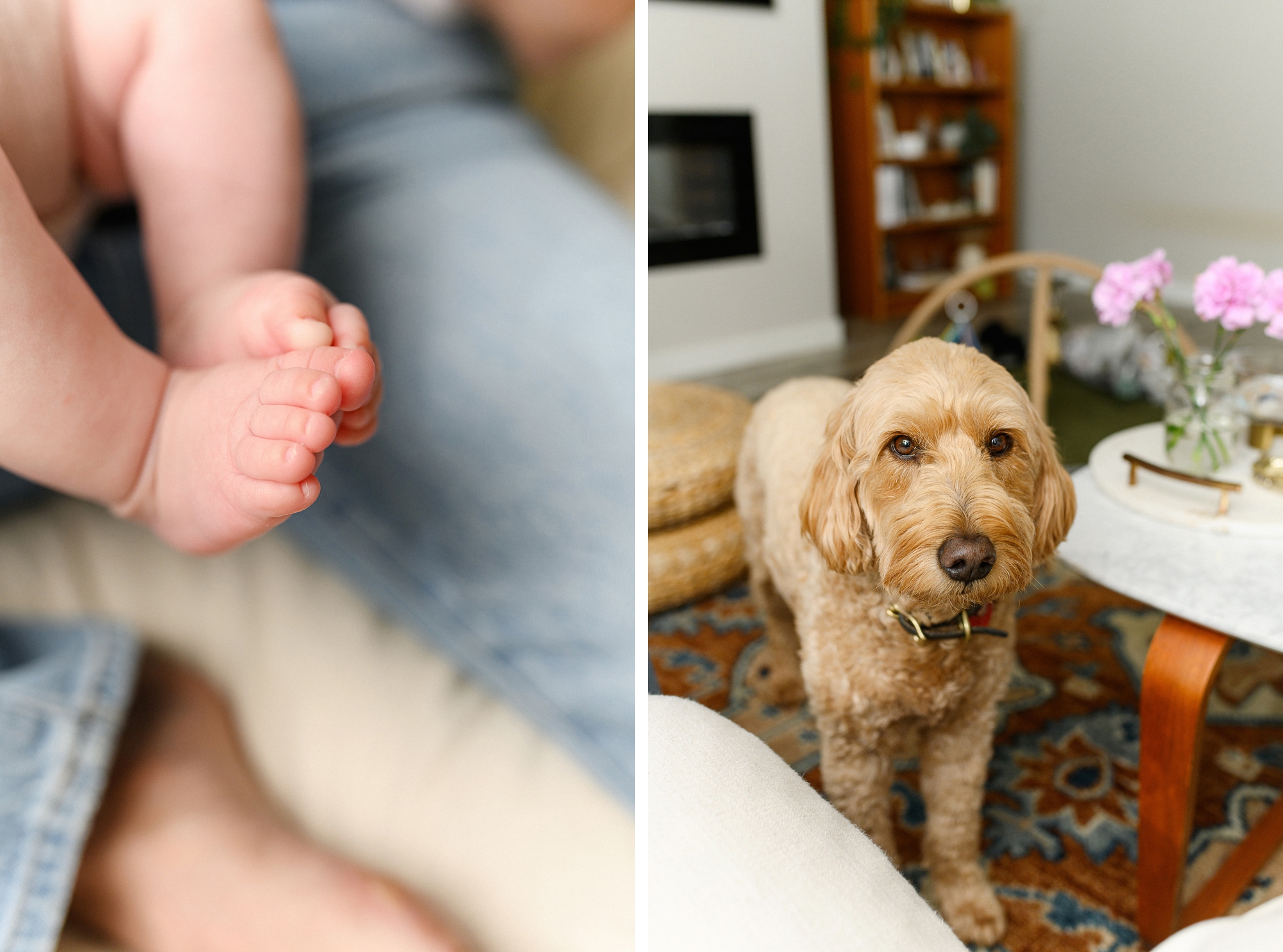 Salem, Oregon In-Home Baby Photoshoot