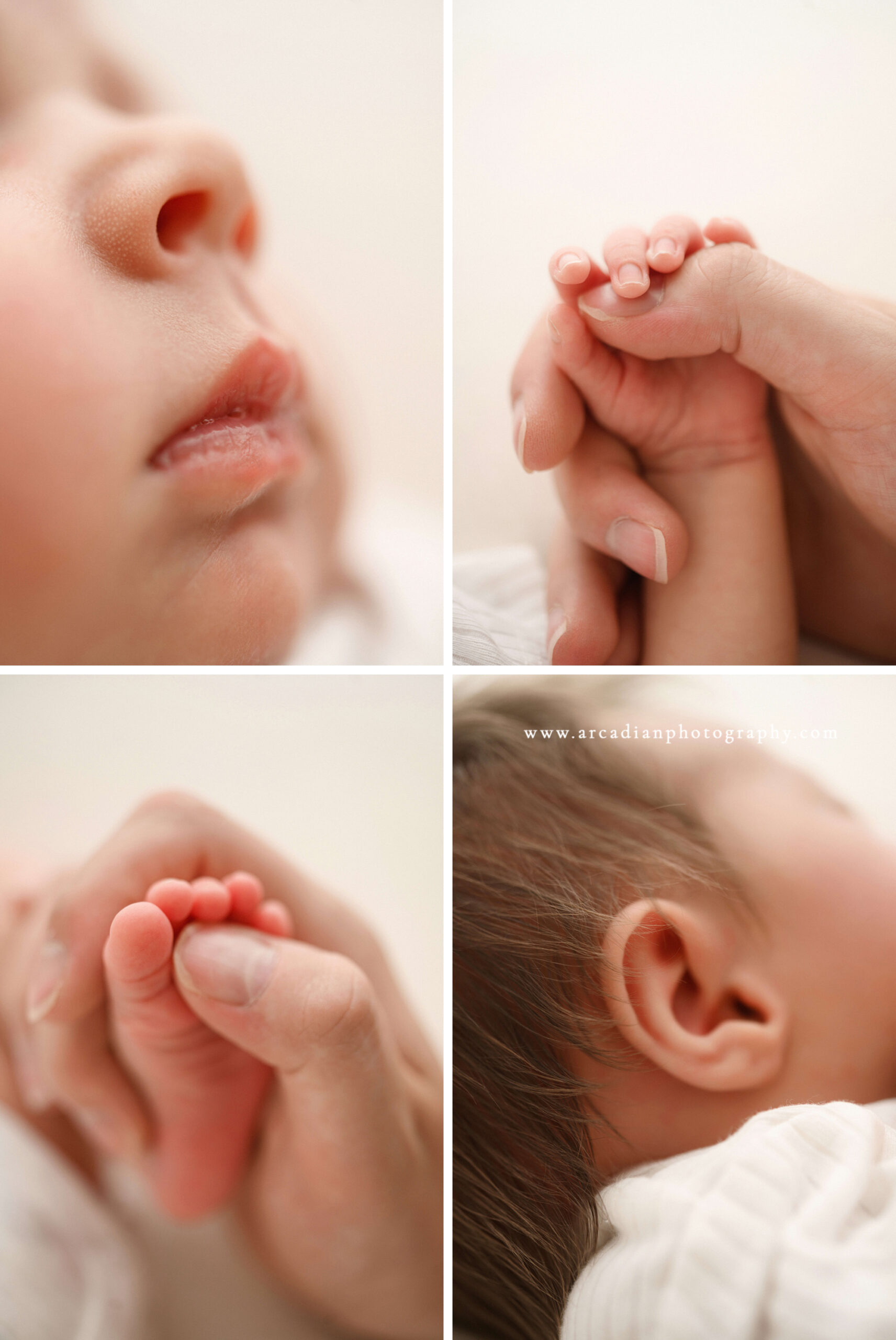 minimalist newborn photography in Salem Oregon