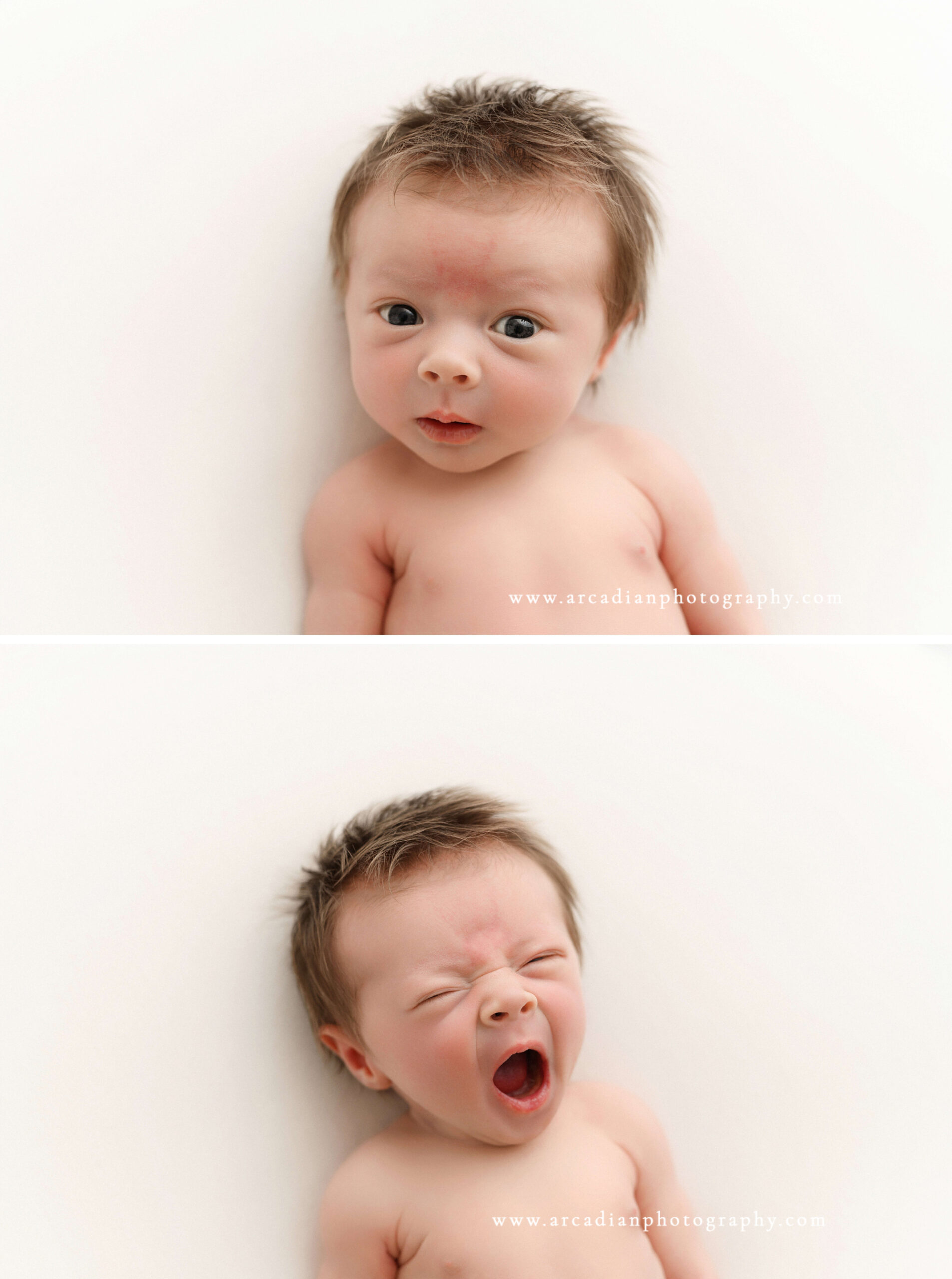 minimalist newborn photography in Salem Oregon