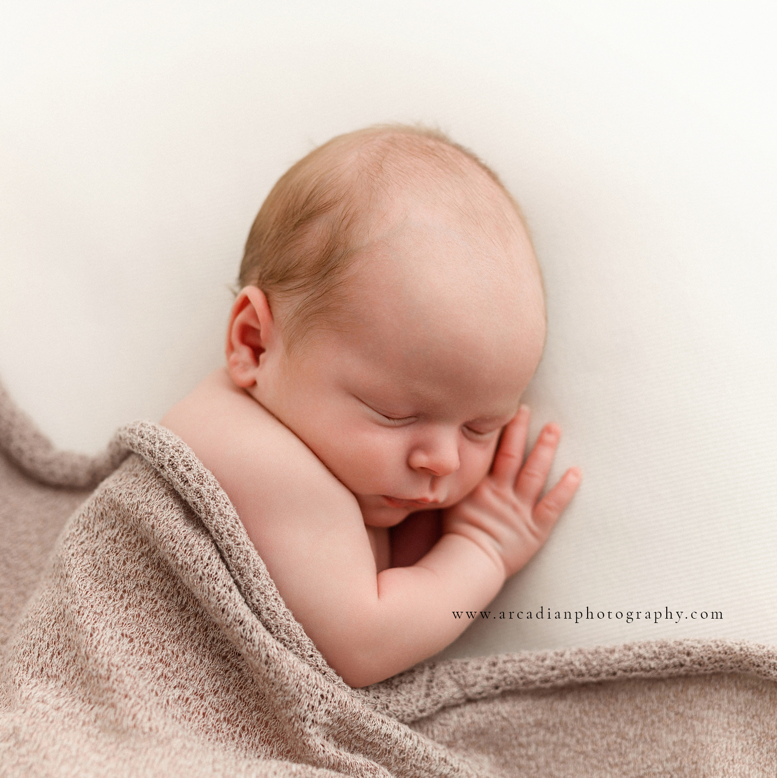 Salem newborn photographer, baby at 3 weeks old